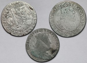 Zygmunt III Waza, Jan II Kazimierz i August III Sas, Orty 1623-1755 - zestaw (3szt)