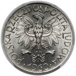 Rybak 5 złotych 1960
