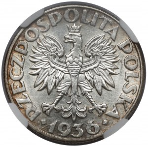 Voilier 2 or 1936