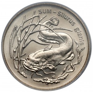 2 złote 1995 Sum