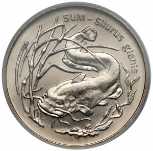 2 or 1995 Somme
