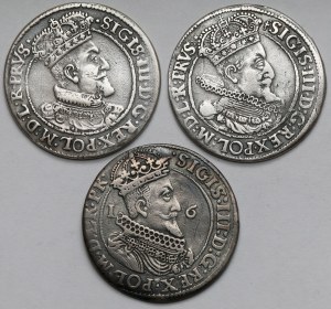 Sigismond III Vasa, Orty Gdansk 1615-1623 - 3 types - set (3pcs)