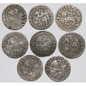 Zygmunt II August, Półgrosze Wilno 1548-1564 - zestaw (8szt)