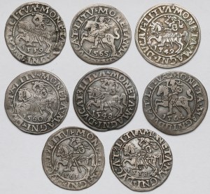 Sigismond II Auguste, demi-penny de Vilnius 1548-1565 - set (8 pièces)