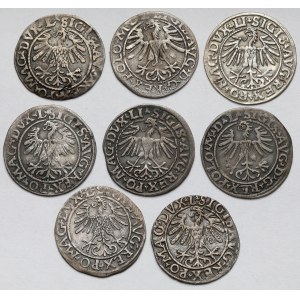Zygmunt II August, Półgrosze Wilno 1548-1564 - zestaw (8szt)