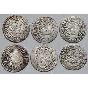 Zygmunt I Stary, Półgrosze Wilno 1510-1521 - zestaw (6szt)
