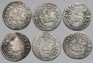 Sigismund I the Old, Half-penny Vilnius 1510-1521 - set (6pcs)