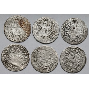 Zygmunt I Stary, Półgrosze Wilno 1510-1521 - zestaw (6szt)