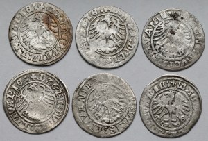 Sigismund I the Old, Half-penny Vilnius 1510-1521 - set (6pcs)