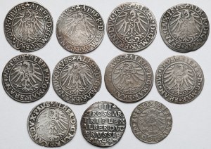 Prusse, Albrecht Hohenzollern, Trojak, Grosze et Szeląg - set (10pcs)