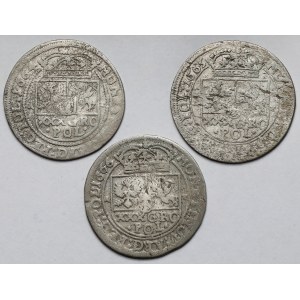 Jan II Kazimierz, Tymfy 1664-1666 - zestaw (3szt)