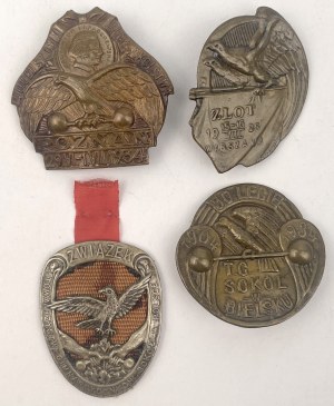 Insignes commémoratifs de la Société de gymnastique 