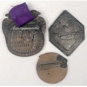Towarzystwo Gimnastyczne Sokół Przypinki okolicznościowe 1922-1929 - zestaw (3szt)