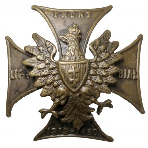 Odznaka, Front Litewsko-Białoruski 1919-1920