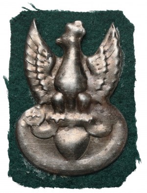 Insurrection de Varsovie, conspiration Eagle - acier