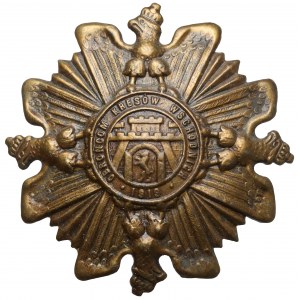 Odznaka, ORLĘTA Obrońcom Kresów 1919 - wz.1