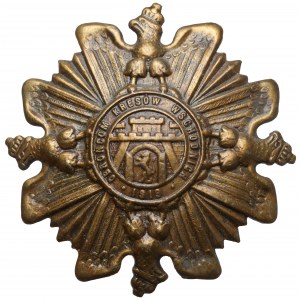 Insigne, des Aiglons aux Défenseurs des frontières 1919 - wz.1
