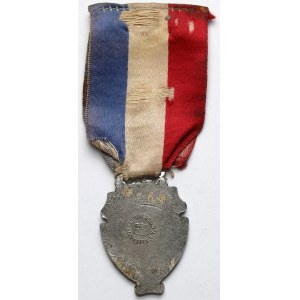 Polskie Towarzystwo Gimnastyczne Sokół” w Ameryce, Medal patriotyczny