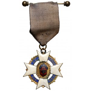 II RP, Medal, Za Pracę dla Stowarzyszenia Młodzieży Polskiej