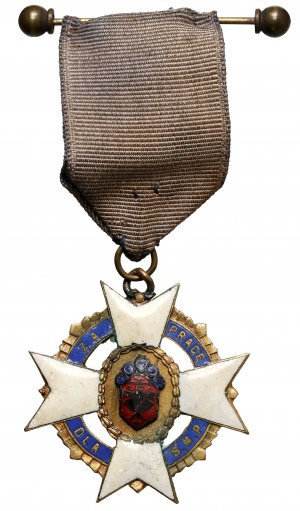 II RP, Médaille, pour le travail effectué pour l'Association de la jeunesse polonaise