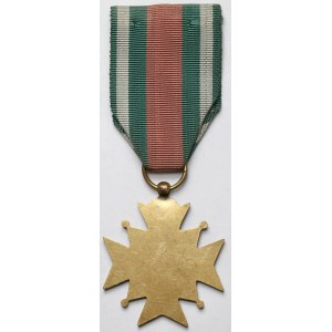 II RP, Odznaka, Krzyż Za Zasługi Związku Sokola Polskiego we Francji
