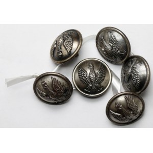 PSZnZ, Gaunt & Son London, Guziki (21,5mm) - zestaw (6szt)