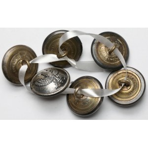 PSZnZ, Gaunt & Son London, Guziki (21,5mm) - zestaw (6szt)