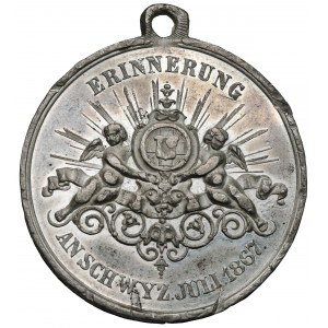 Szwajcaria, Medal 1867 - Festiwal strzelecki w Schwyz