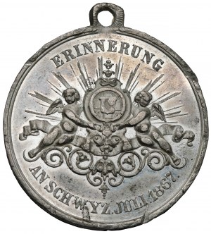 Switzerland, Medal 1867 - Schwyz shooting festival
