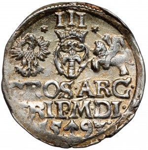 Sigismond III Vasa, Troïka Vilnius 1593 - Dyla