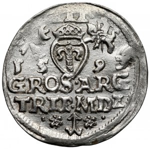 Zygmunt III Waza, Trojak Wilno 1593 - Platina