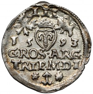 Sigismond III Vasa, Troïka Vilnius 1593 - Platina - un autre buste