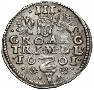 Sigismond III Vasa, Troïka Vilnius 1601 - Cygne sur V