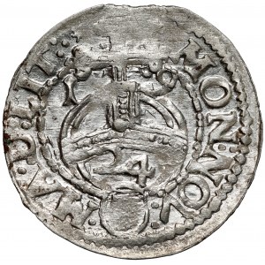 Zygmunt III Waza, Półtorak Wilno 1619 - Wadwicz w tarczy
