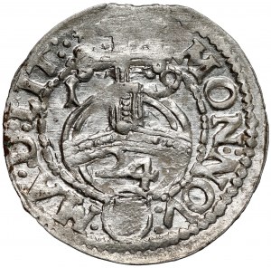 Sigismond III Vasa, demi-piste Vilnius 1619 - Vadvich dans l'écu