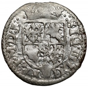 Zygmunt III Waza, Półtorak Wilno 1619 - Wadwicz w tarczy