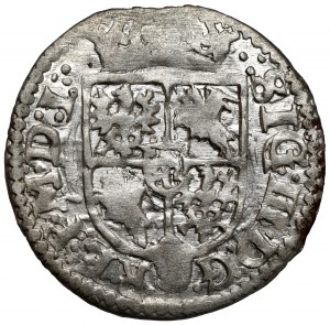 Sigismond III Vasa, demi-piste Vilnius 1619 - Vadvich dans l'écu