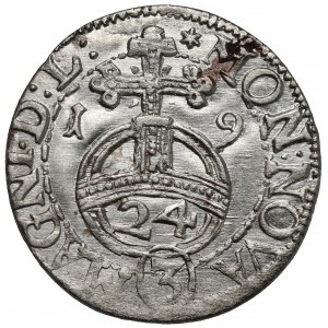 Zygmunt III Waza, Półtorak Wilno 1619 - Wadwicz w otoku