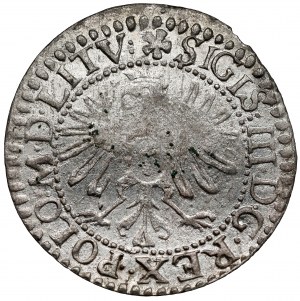 Sigismond III Vasa, Vilnius Penny 1611