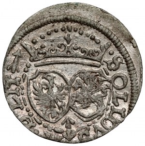 Sigismond III Vasa, L'abri de Vilnius 1617