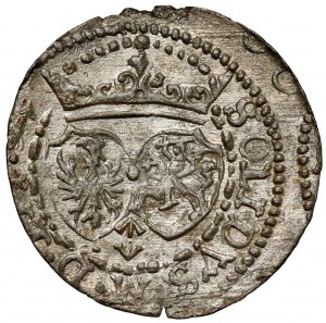 Sigismond III Vasa, L'abri de Vilnius 1617