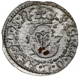 Sigismund III Vasa, Vilnius 1617 Shelrogue - PO M D - rare