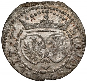 Sigismond III Vasa, L'abri de Vilnius 1617
