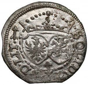 Sigismond III Vasa, L'abri de Vilnius 1617