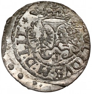Sigismond III Vasa, L'abri de Vilnius 1618
