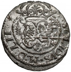 Sigismond III Vasa, L'abri de Vilnius 1618