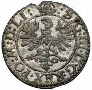 Sigismond III Vasa, L'abri Vilnius 1623