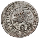Zygmunt III Waza, Szeląg Wilno 1623 - monogram RL