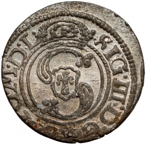 Sigismond III Vasa, L'abri Vilnius 1624