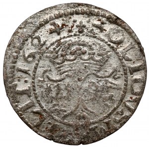 Zygmunt III Waza, Szeląg Wilno 1624 - duże litery